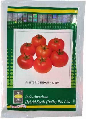 INDO-AMERICAN TOMATO SEEDS Seed