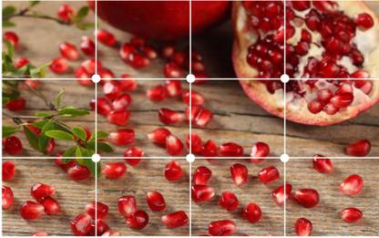 Impression Wall 58 cm Pomegranate Wallpaper/Wall Sticker Multicolour - Kitchen Wall Coverings Area ( 60Cm X 91Cm ) Self Adhesive Sticker