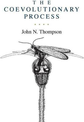 The Coevolutionary Process