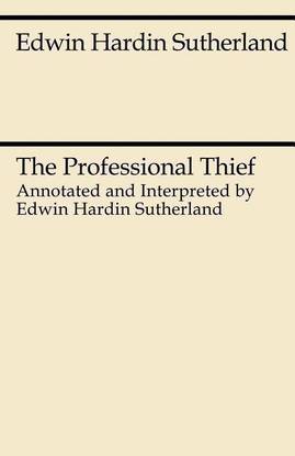 The Professional Thief