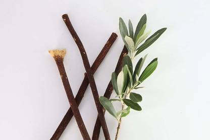 Midlumes Olive Stick Natural Tooth Brush organic Miswak Datun Soft Toothbrush