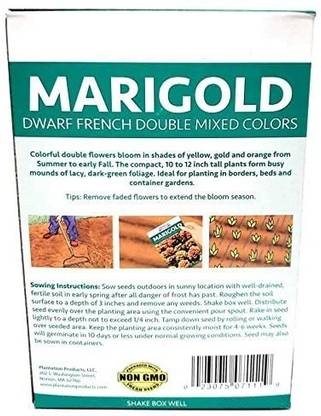 VibeX Seed Mixture, Dwarf French Double Mixed Colors Marigold Seed