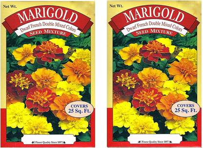 VibeX Marigold Seed