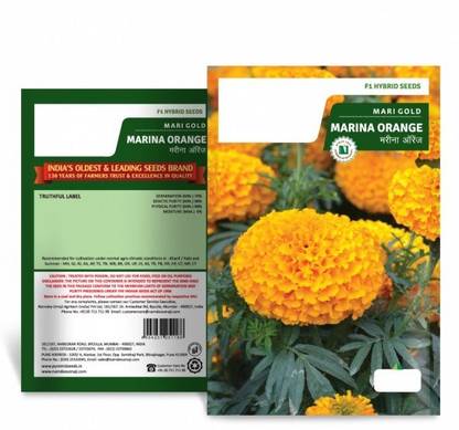 VibeX Marigold Marina Orange Seeds Seed