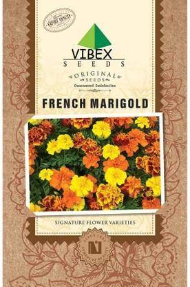 VibeX French Marigold Seeds Seed