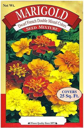 VibeX Dwarf French Double Mixed Colors Marigold Seed Mixture Seed