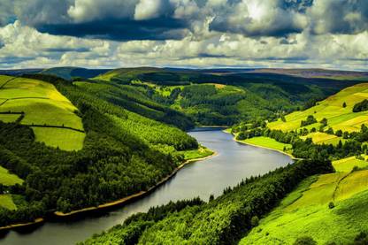 Self Adhesive Sticky Paper Poster Paper Print