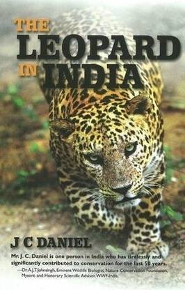 Leopard in India