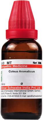 Dr.Willmar Schwabe India Coleus Aromaticus Q Mother Tincture