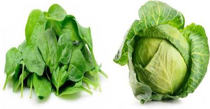 xcentax Baby Spinach, CABBAGE Seed