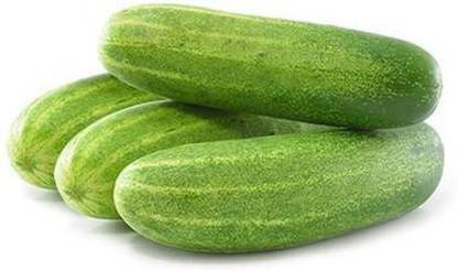 LYRS Desi Cucumber / Kheera Seeds- Seed