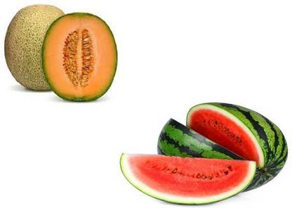 LYRS Hybrid Muskmelon & Watermelon Combo Seeds Seed