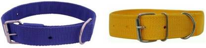 havish Dog Everyday Collar