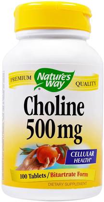 Nature's Way Choline 500 Mg, 100 Tablets
