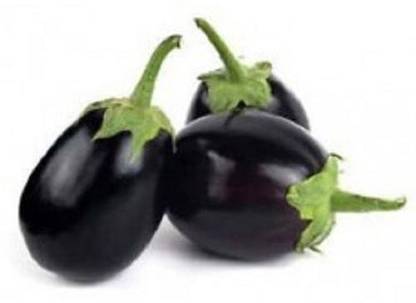 LYRS Hybrid Brinjal Seeds- 400 Seed