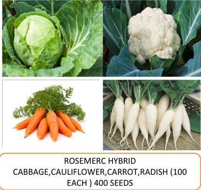 ROSEMERC HYBRID CABBAGE,CAULIFLOWER,CARROT,RADISH Seed