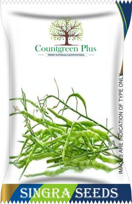 Countgreen Plus Radish Pods (Singra/Mongra) Vegetable Seeds Seed