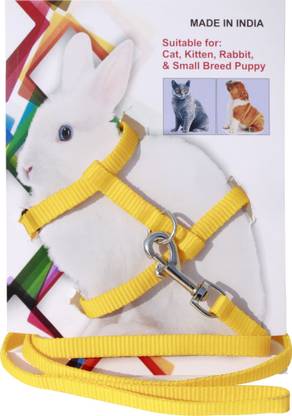 BODY BUILDING Dog Belt Combo of Yellow Bunny Rabbit Harness with Leash Specially for Rabbit, Small Dogs, Puppies, Cat & Kitten Rabbit Harness & Leash