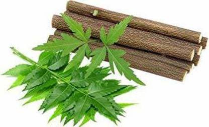 LEADWORT Desi Datun Neem ki Patli Lakri Stick Datman Miswak Chew Sticks Neem Twigs Toothpaste