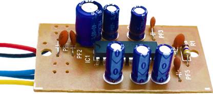 Electronil 2025 IC Amplifier Board Kit For DIY Projects Sound Recorder and Sound Circuit Electronic Hobby Kit