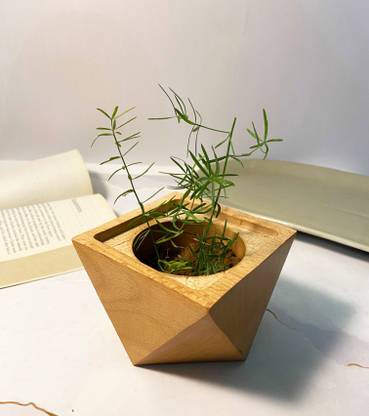 Happy Homes Wooden Planter | Indoor HEXASQAURE TWO SHAPE POT Planter Plant Container Set