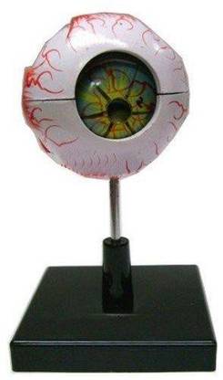 BES AEM 01 Artificial Eye