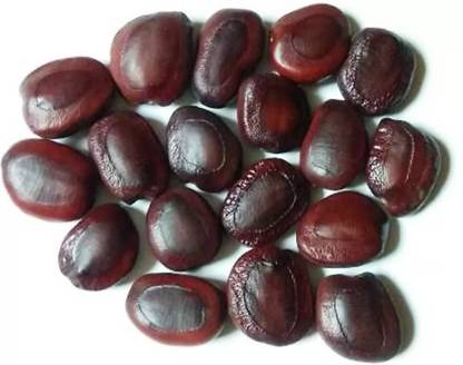 DEVANGI TUMRIND seeds, ambila Seed