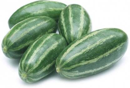 KOO Retails Pointed gourd - Parwal - Potol - Kambupudalai - 8 Roots Male Female Roots mixed Seed