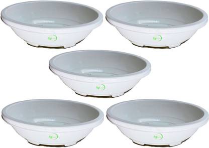 Oshi Greens Oval Bonsai Plastic Tray flower pots planters 12 inches size Plant Container Set