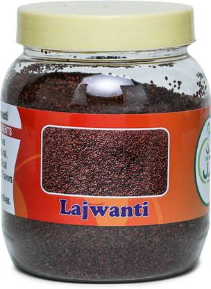 JDE Lajwanti | Chuimui - Mimosa Pudica - Mimosa Pudica Seed - LAJWANTI Seed Seed