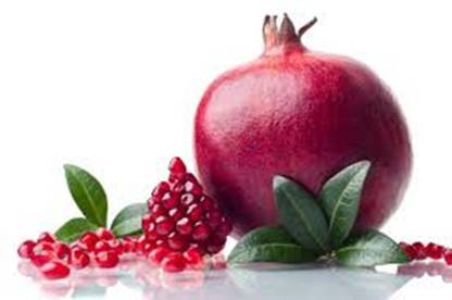 Crapulous All Climate Mega Combo Tree Seeds & Fruit Seeds- Non Hybrid- Real Survival Seeds. Annona reticulata(Custrad Apple) Punicagranatum(Pomegranate)Citrus X sinensis(Orange )Psidium guajava(Guava),Manilkara zapota(chiku) Seed