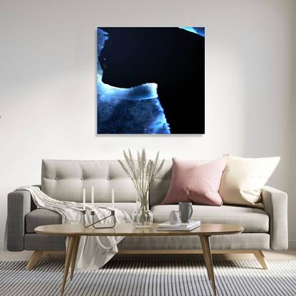 Decorative Framed Canvas Wall Art Decoration Cat in Space Digital Print Poster N&WCP-4260 Canvas Art