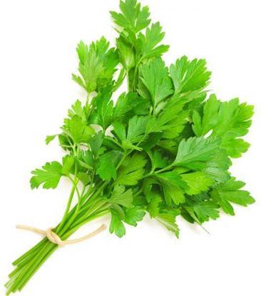 LYRS Desi Hara Dhaniya Coriander / Dhaniya Seed- 90 Seed