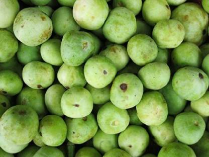 JRYU Round Gourd Tinda Hybrid Vegetable Seed