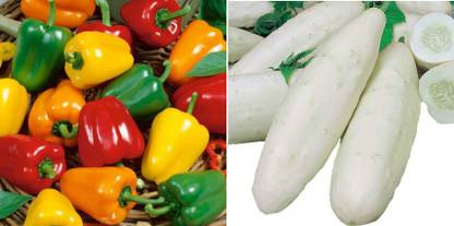 xcentax BELL PEPPER MINI RED, Cucumber White Long Seed