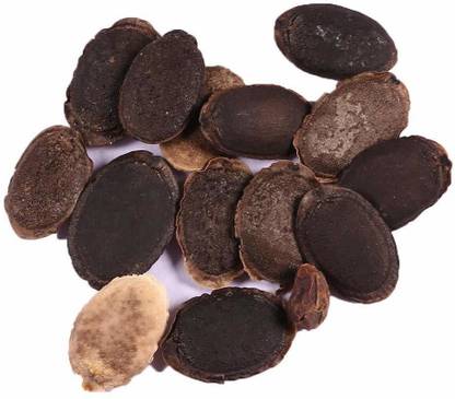 VibeX Ridge-Sponge-Gourd Seed