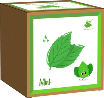Sow and Grow Mint Seed