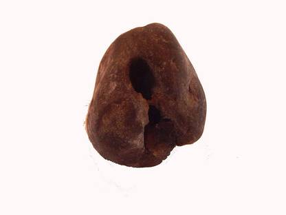 hoseki Adwaitya ChakraDhari Maha Vishnu Shaligram Nepal Kali Gandaki stone Regular Asymmetrical Crystal Stone