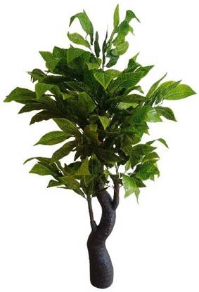 KAYKON 5.5 Feet Big Artificial Maple Tree Areca Green Plant Palm Tree For Home Decor - 165cm Bonsai Artificial Plant