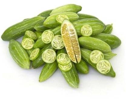 KOO Retails Tindora Seed