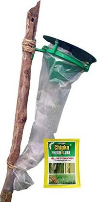 Chipku Pheromone Trap Funnel with Scriptophaga incertulas for Catch Insect/Moth Yellow Rice stem Borer (YSB) (Scriptophaga incertulas)