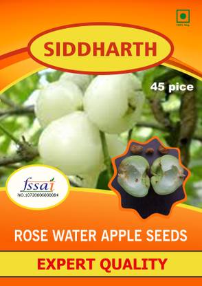 SIDDHARTH FISH FARM GREEN ROSE WATER APPLE Seed