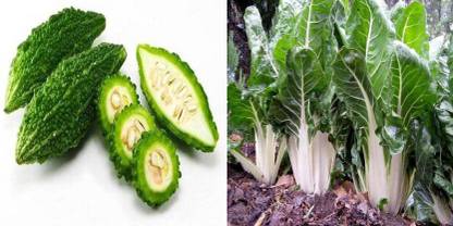 dreamseawaves BITTER GOURD&SWISS CHARD MANGOLD LUCULLUS Seed