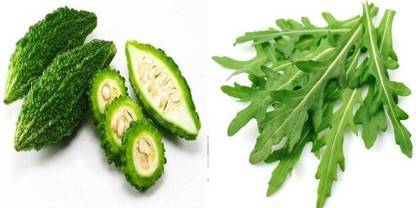 xcentax BITTER GOURD, ROCKET RUCOLA LEAVES HERB Seed