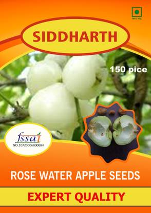 SIDDHARTH FISH FARM GREEN ROSE WATER APPLE Seed