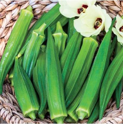 Antier BHINDI BAHAR SEEDS (PACK OF 50 SEEDS X 4 PACKET) Seed