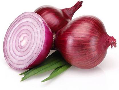 Antier ONION BOMBAY RED SEEDS (PACK OF 50 SEEDS X 2 PER PACKET) Seed
