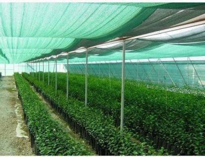 AGK Enterprises Green Shade Net for Garden/Balcony with Niwar 75% 15X20 Ft Portable Green House
