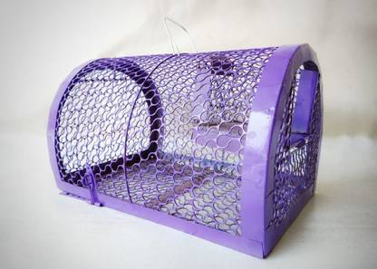 Dxplore Stainless Steel Rat Trap Cage | Mouse and Mice Rat Catcher Cage| Rat Tray | Rodent Control | Chuhaa Pinjra for Rat | catchmaster baited Mouse Traps Live Trap