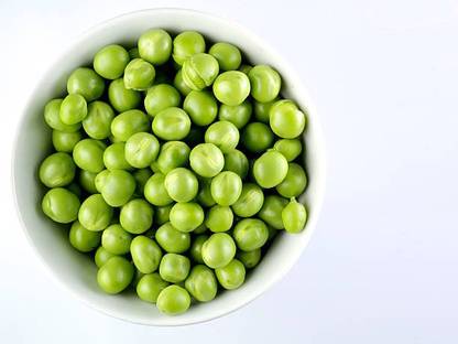 Splorias Peas Seed